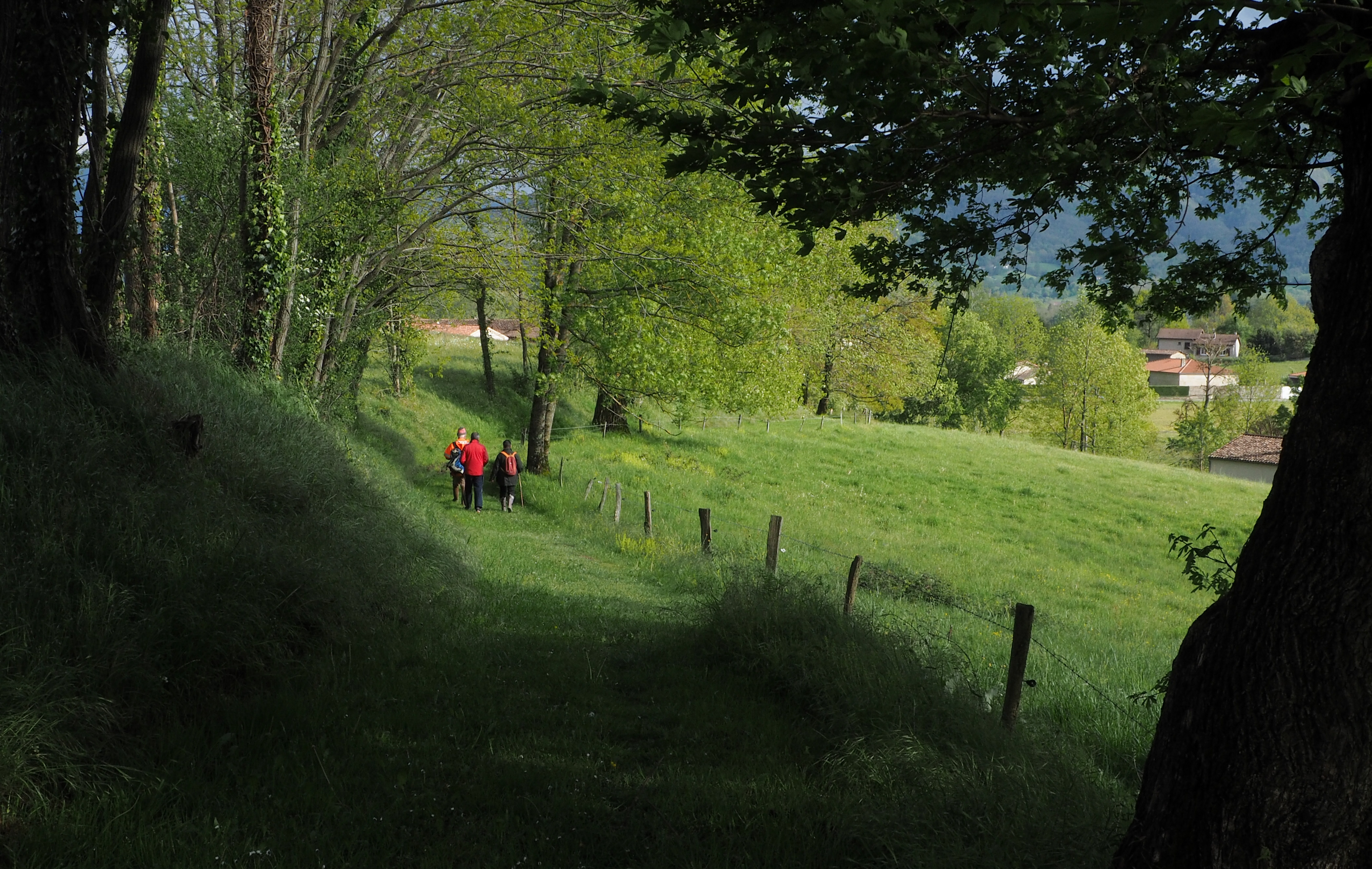 sentiers reperage4 mai21