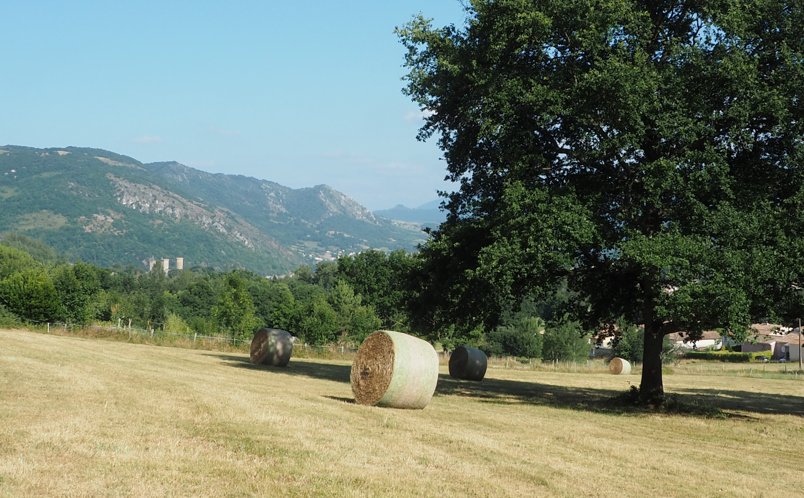 jul21 foin4
