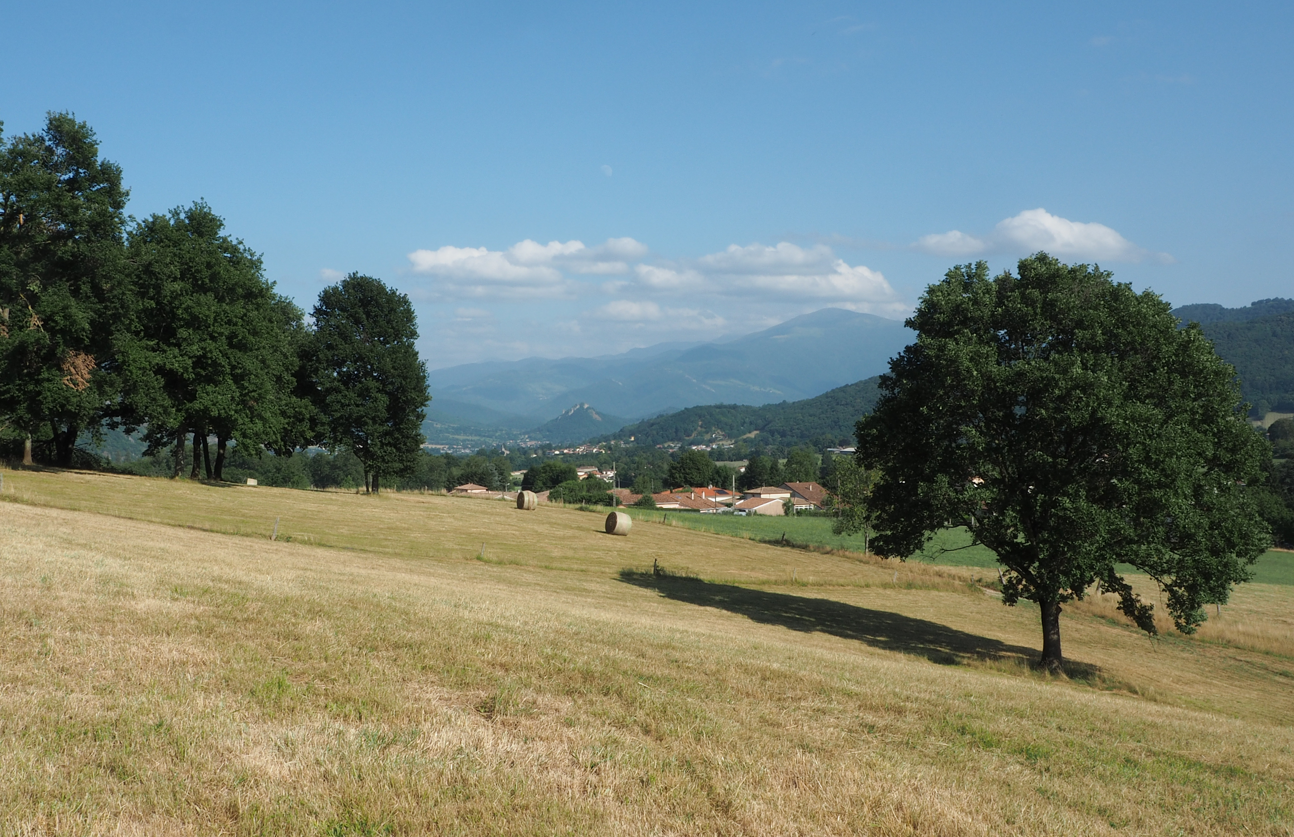 jul21 foin5