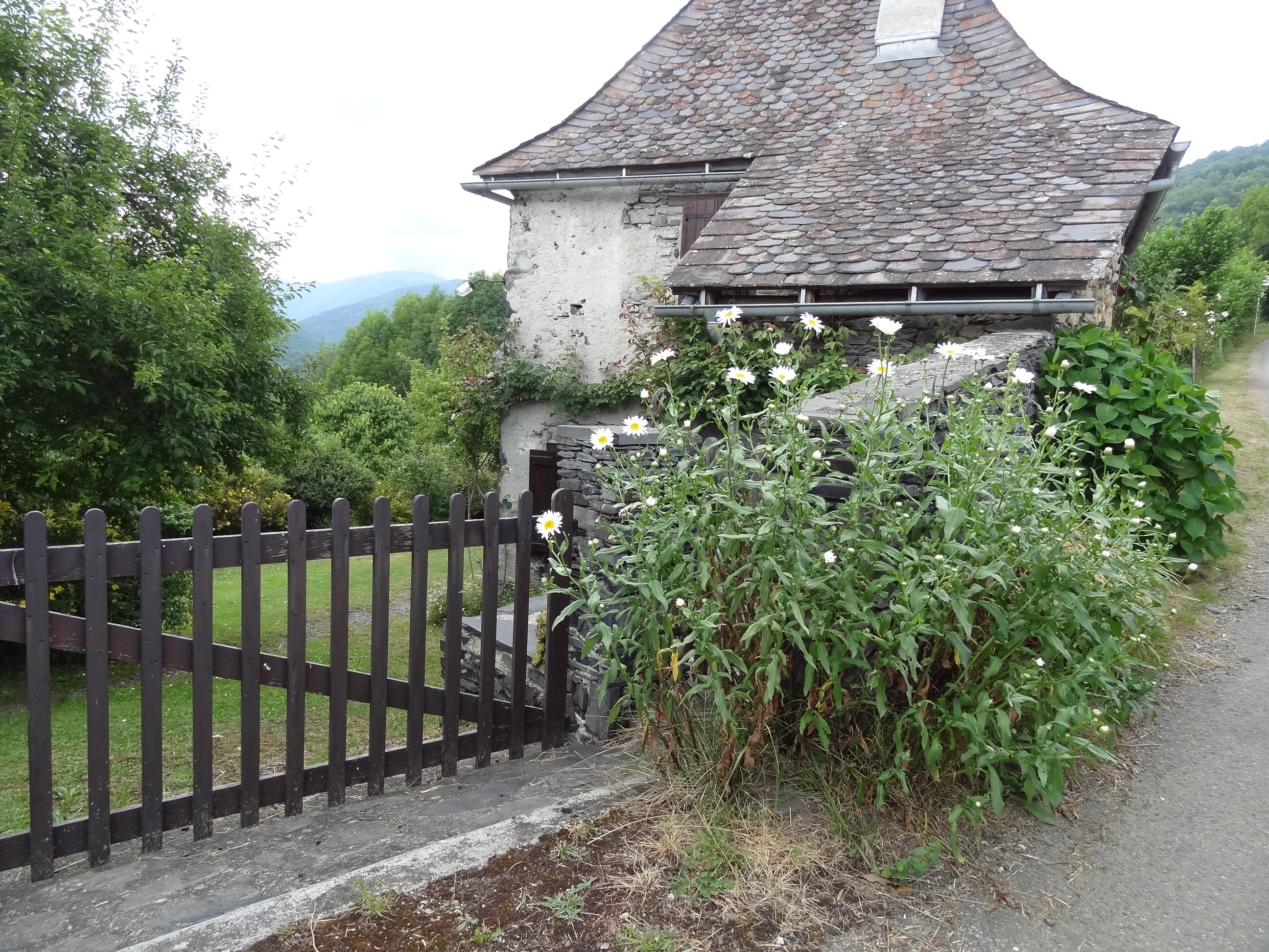 Accueil marcguerites LC