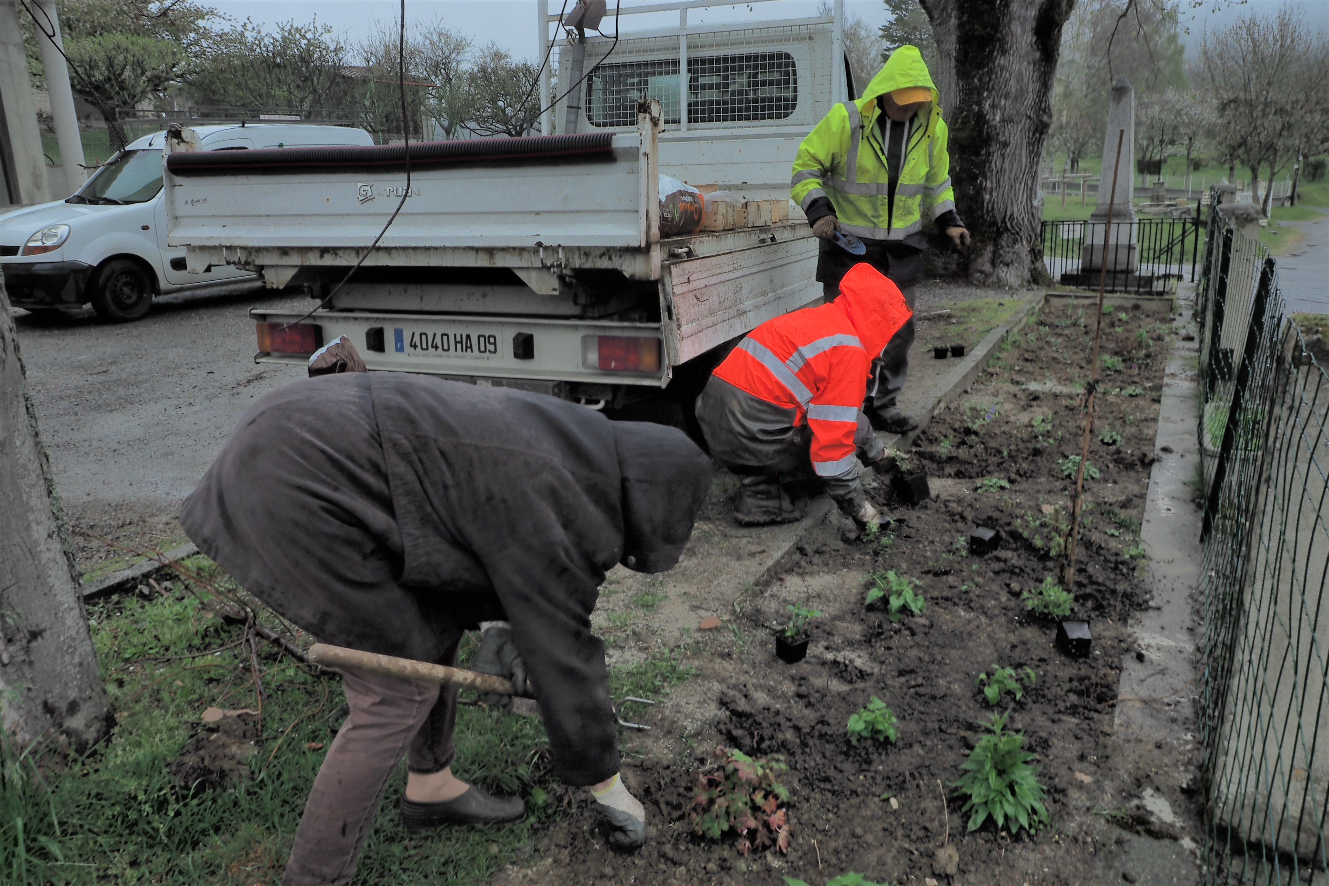 plantation avr22b