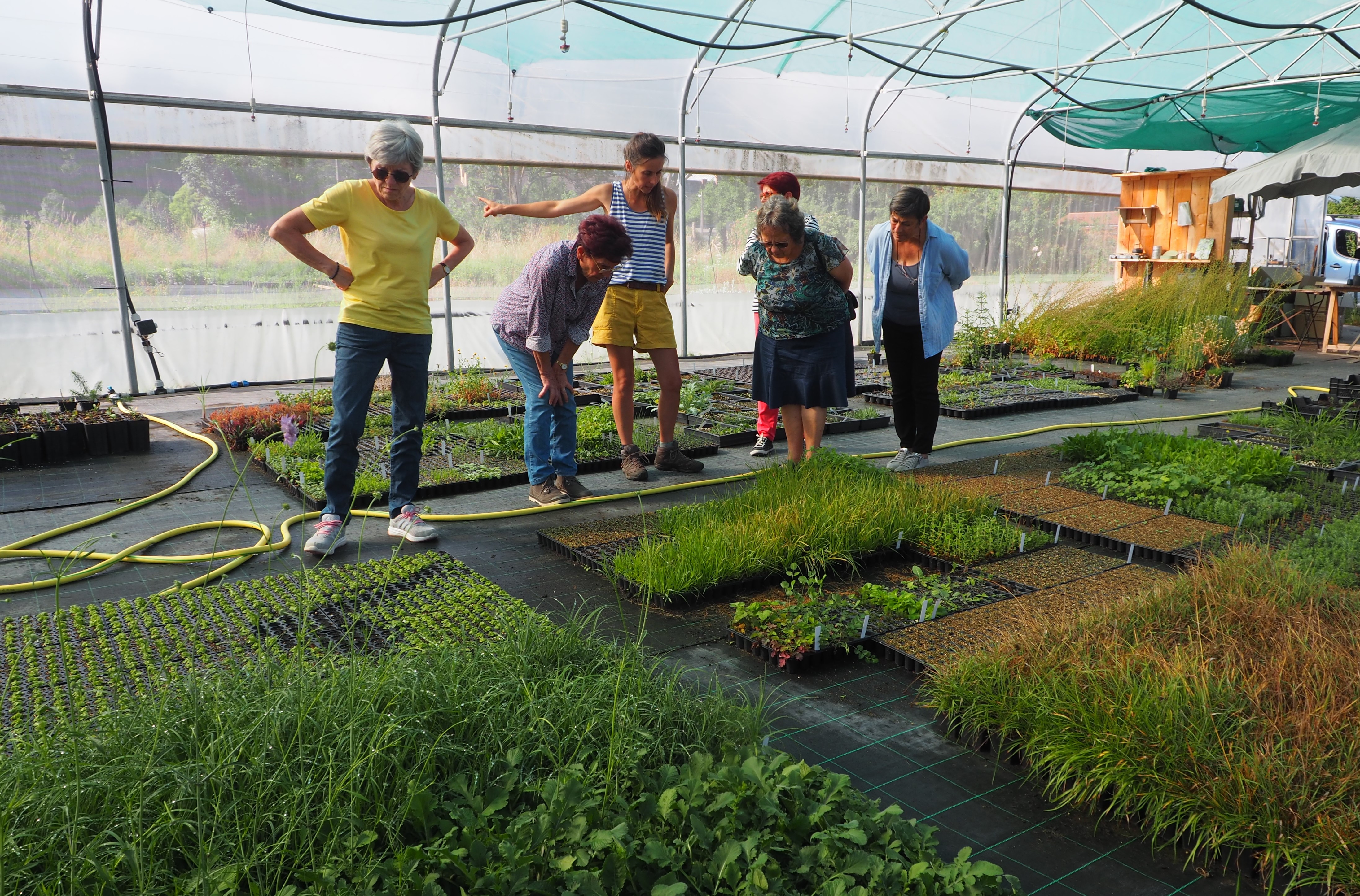 plantation jun22a
