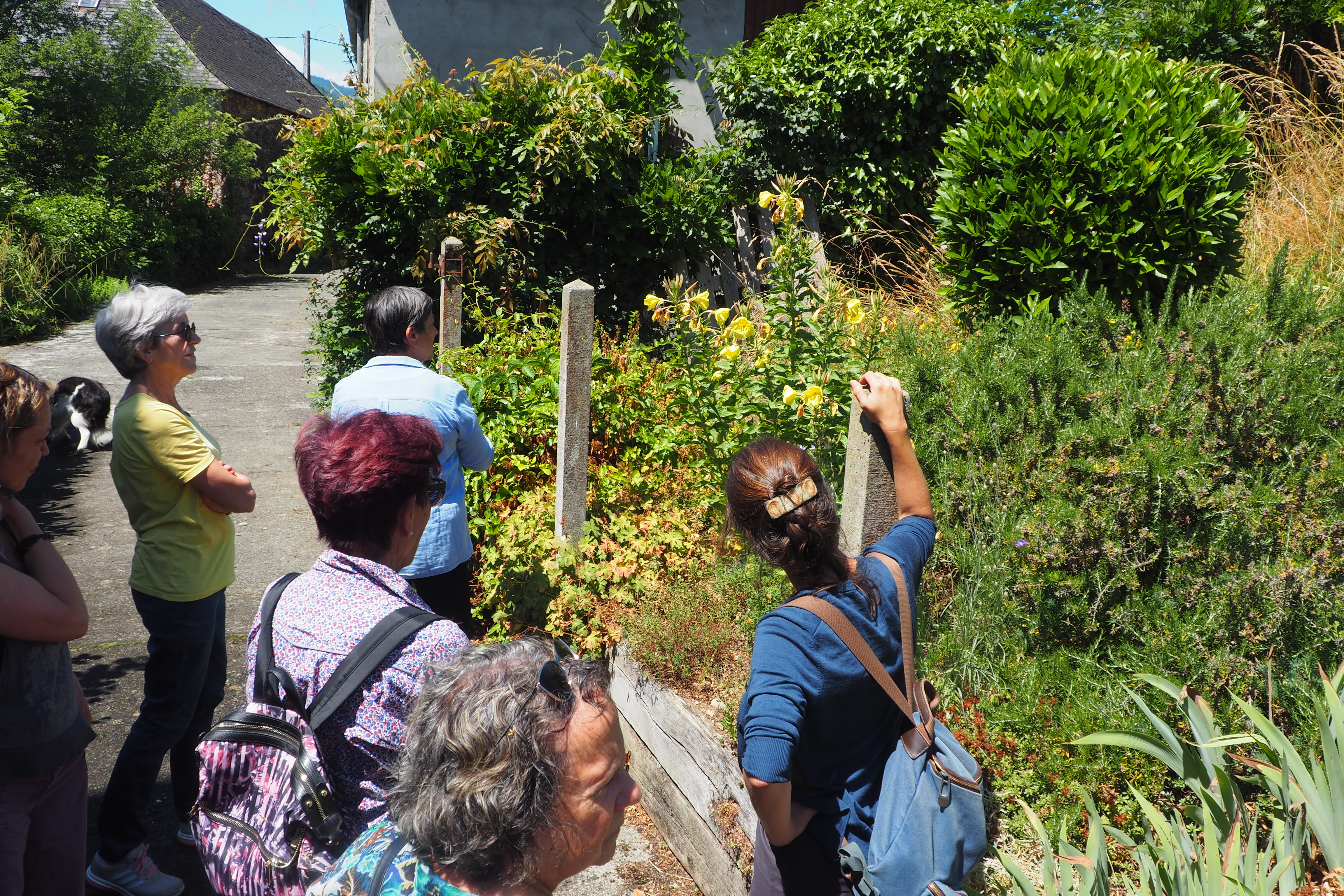 plantation jun22e
