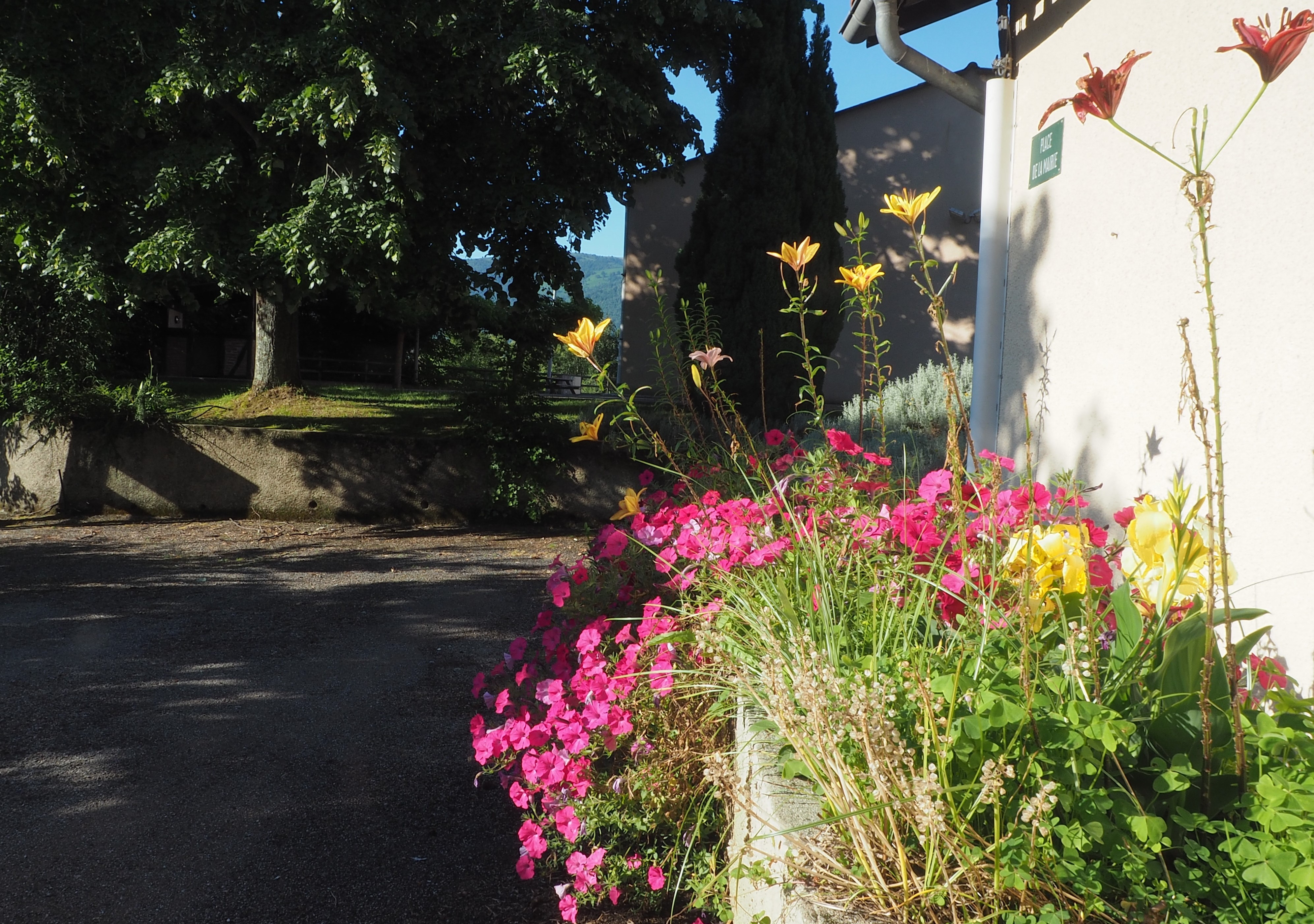 mairie bac fleurs