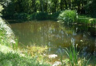lac