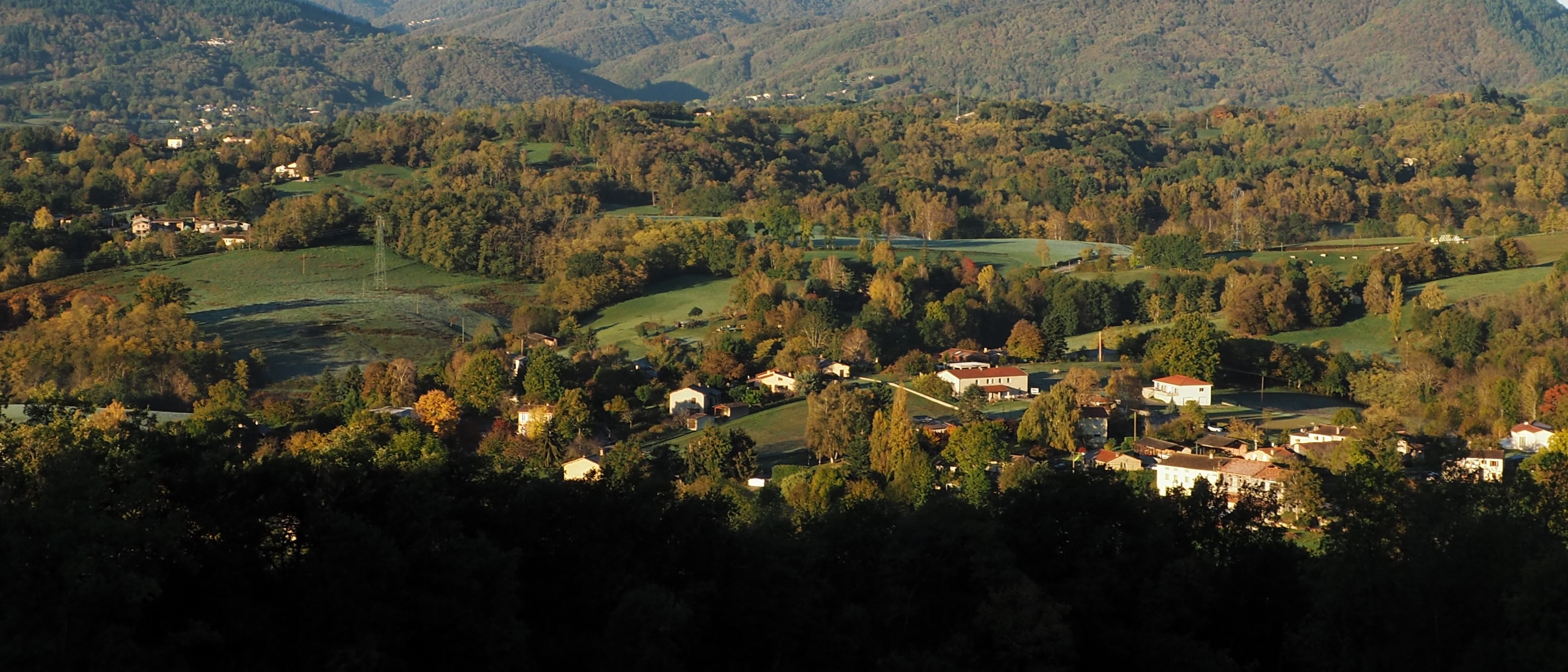 Bosc oct21