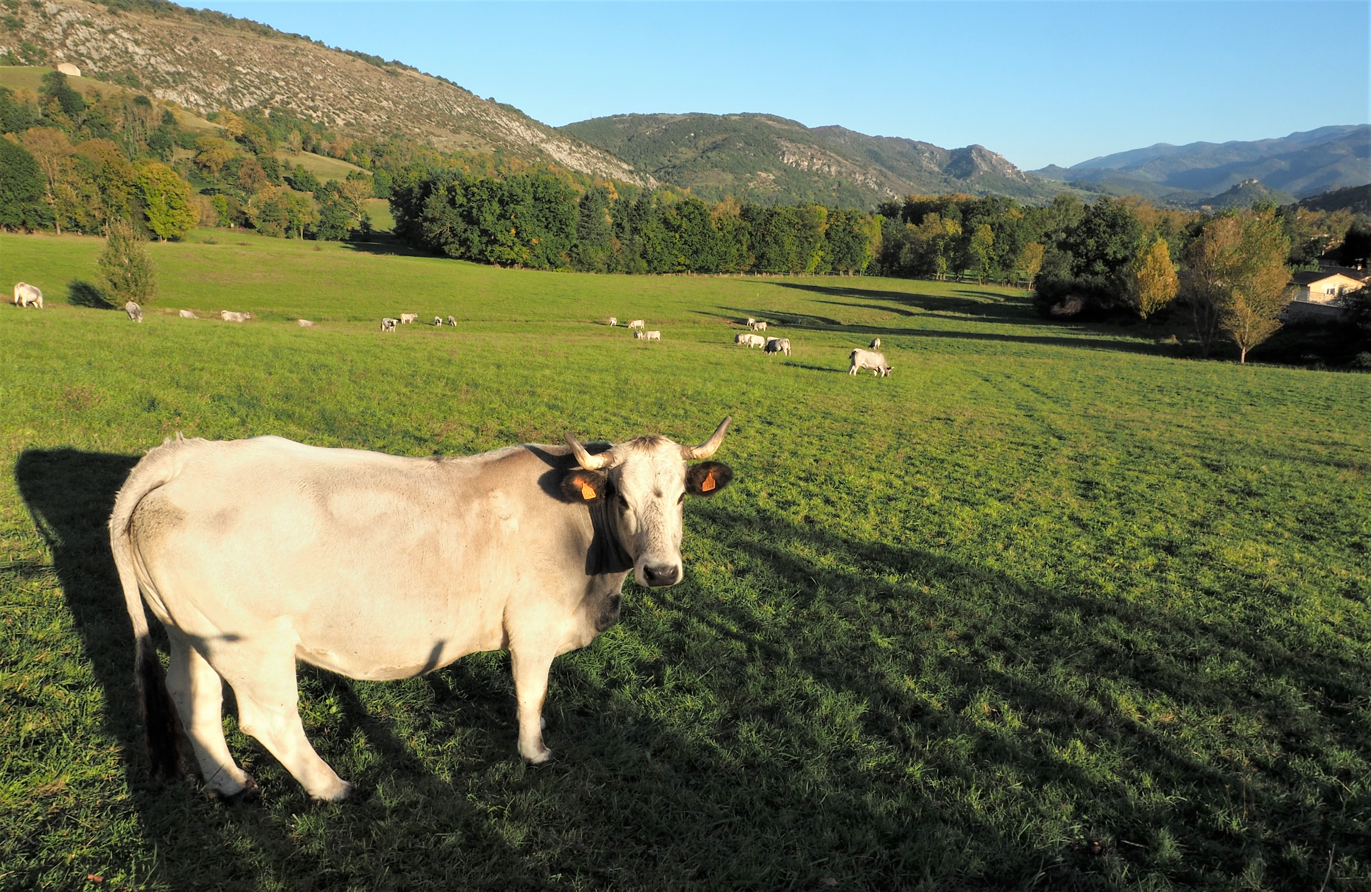 Caussou1 oct21