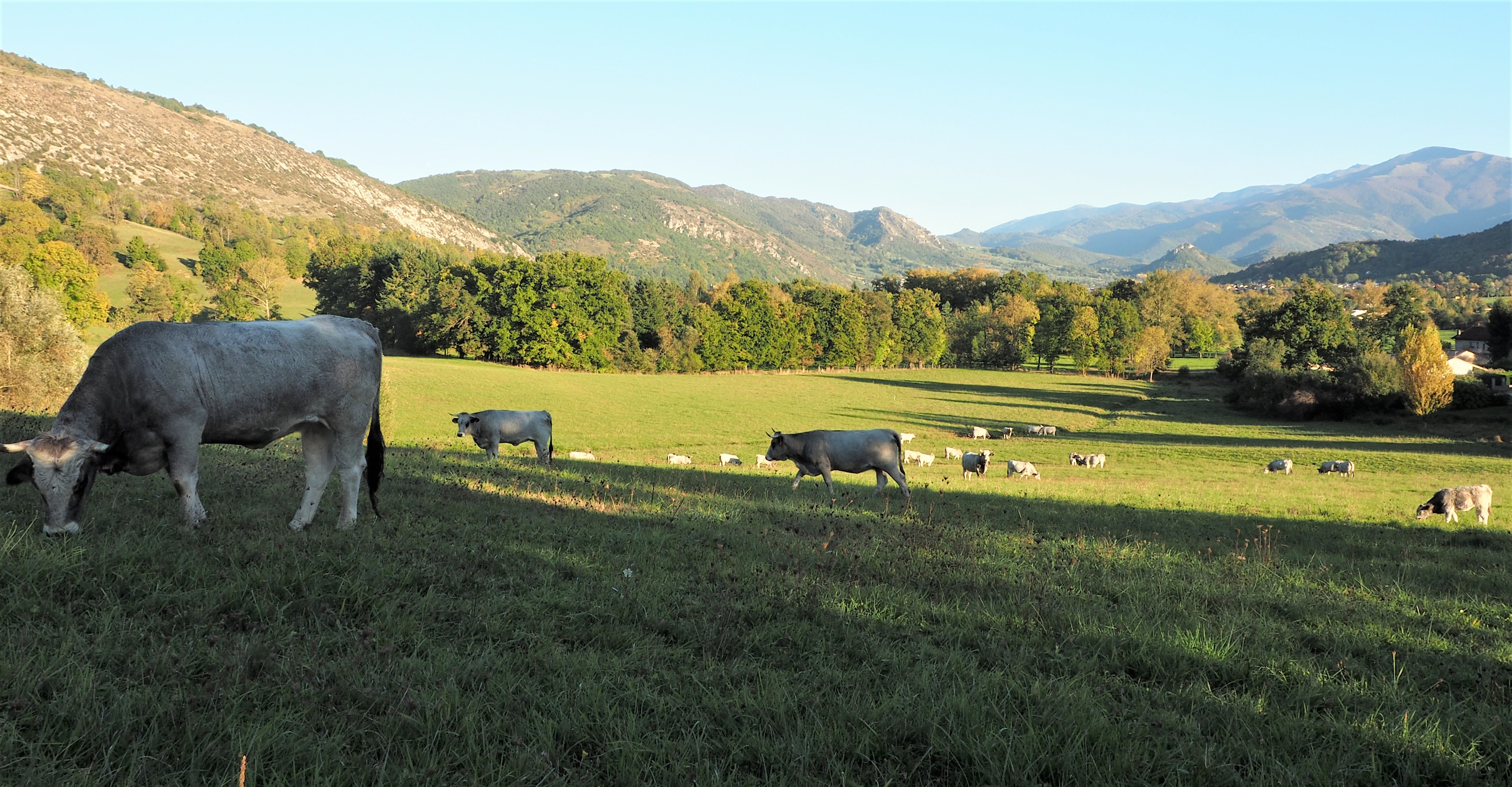Caussou3 oct21