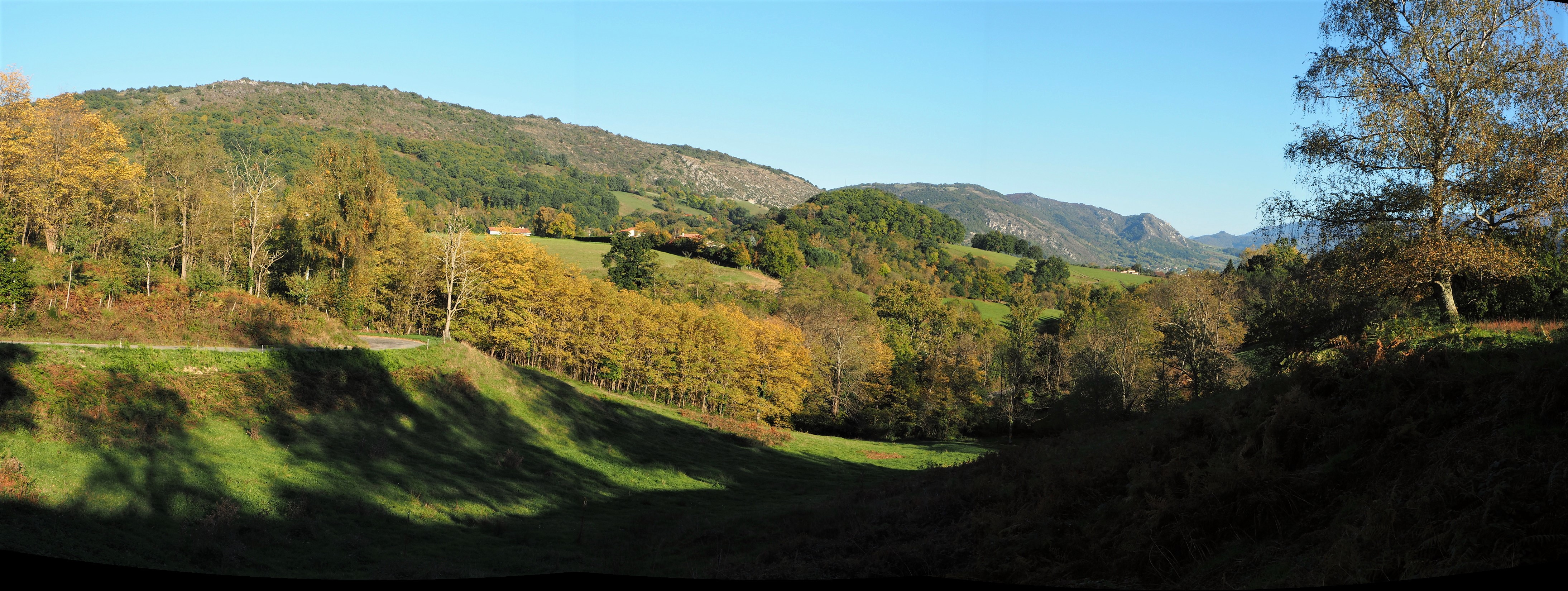 Cos pano1 oct21