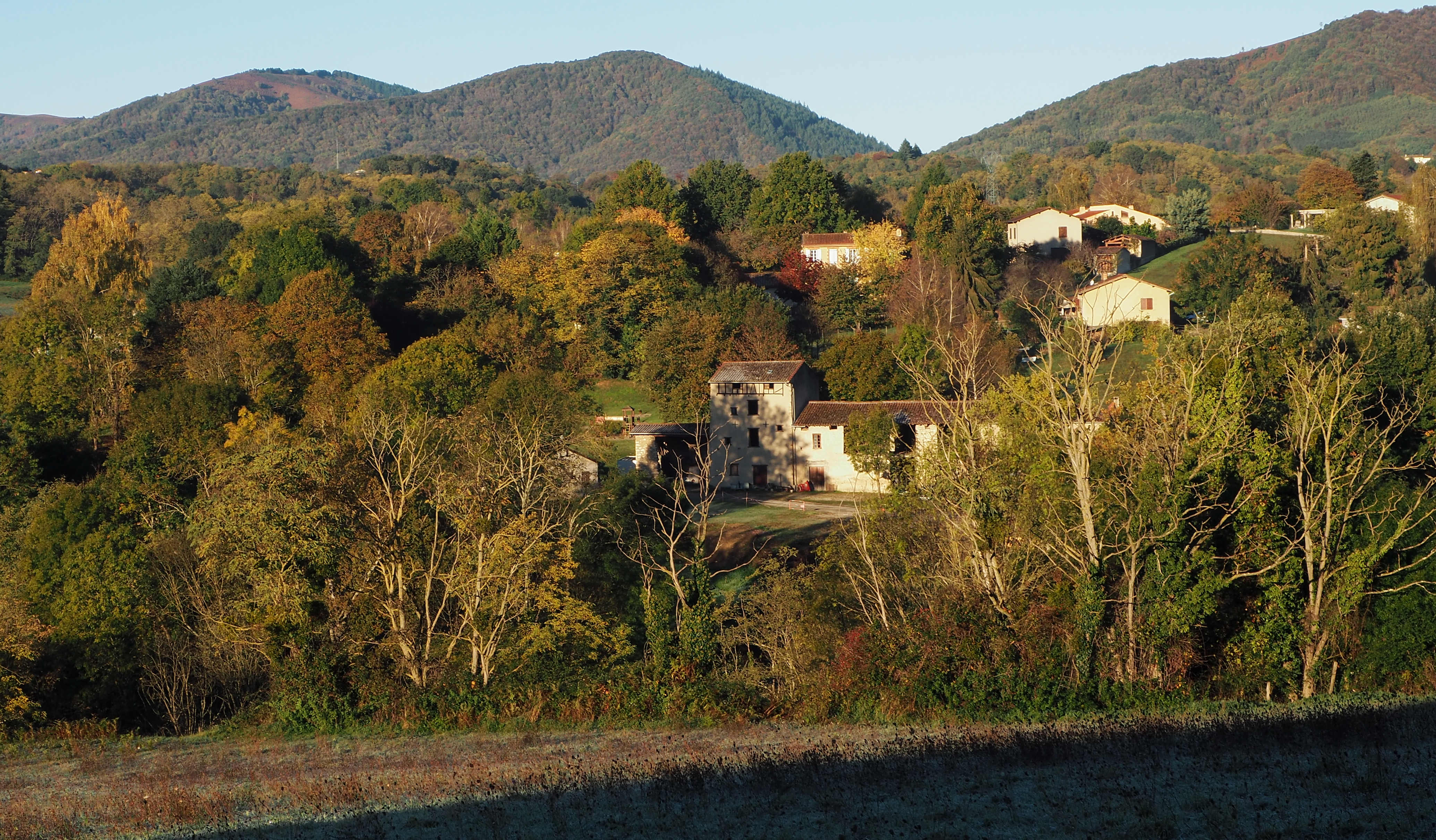 Rouzaud oct21